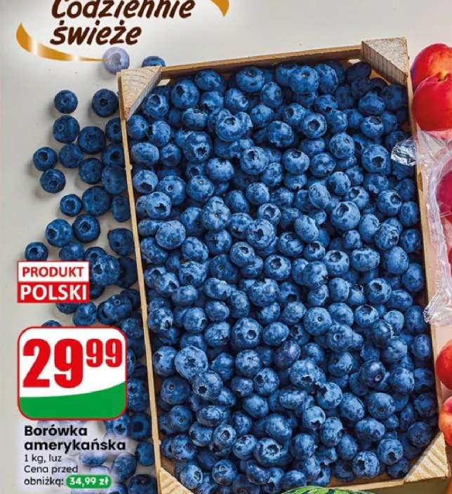 Borówka amerykańska