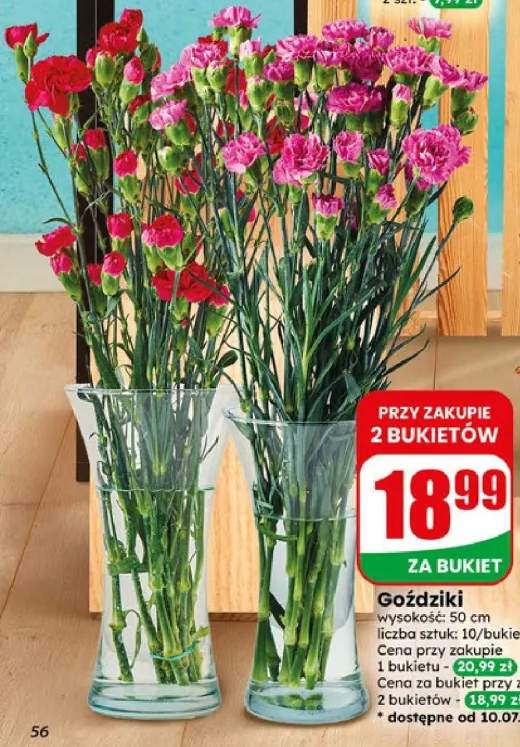 Goździki
