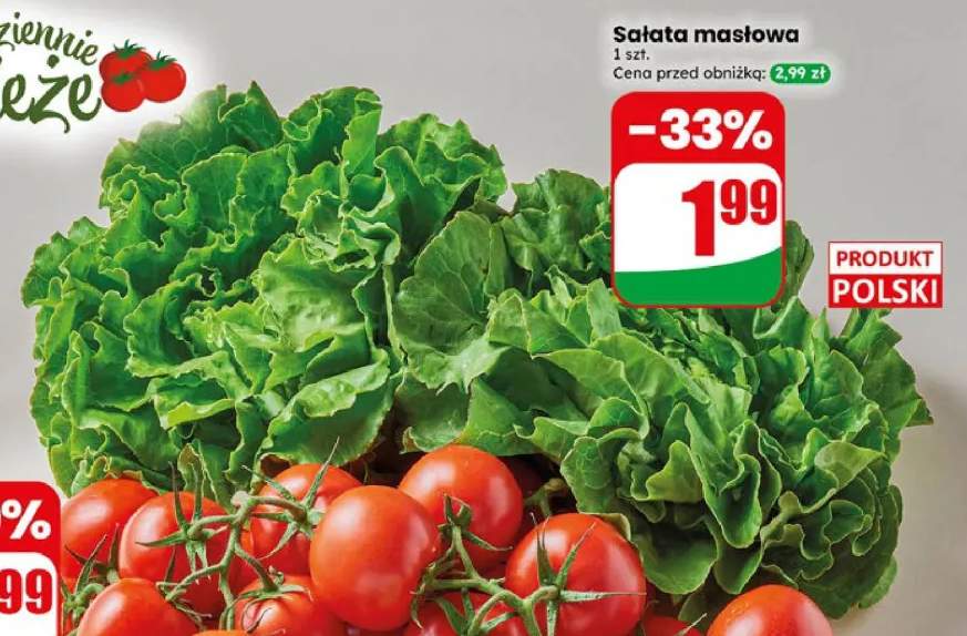 Sałata masłowa