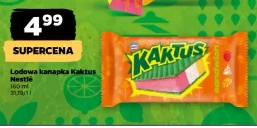 lody Kaktus