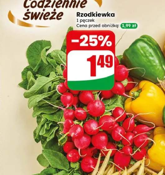 Rzodkiewka