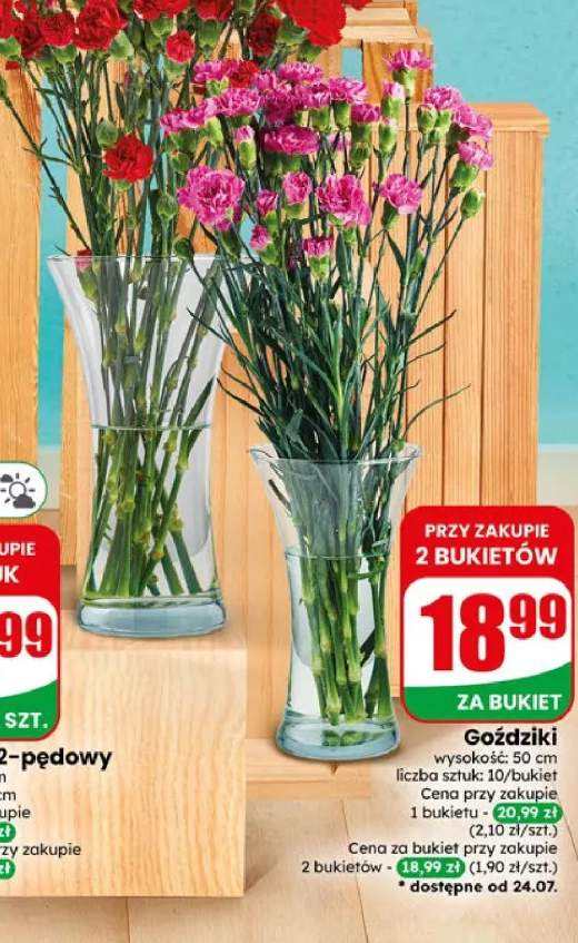 Goździki bukiet 10 szt.