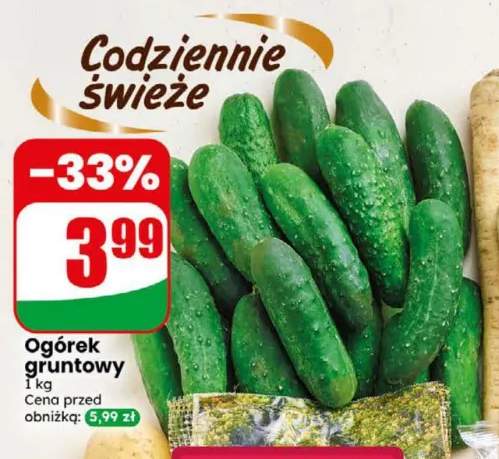 Ogórki gruntowe