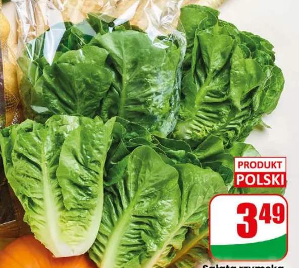 Sałata rzymska mini