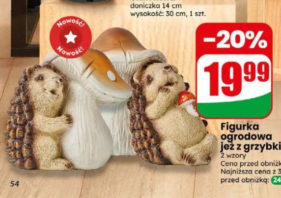 Figurka ogrodowa jeż z grzybkiem