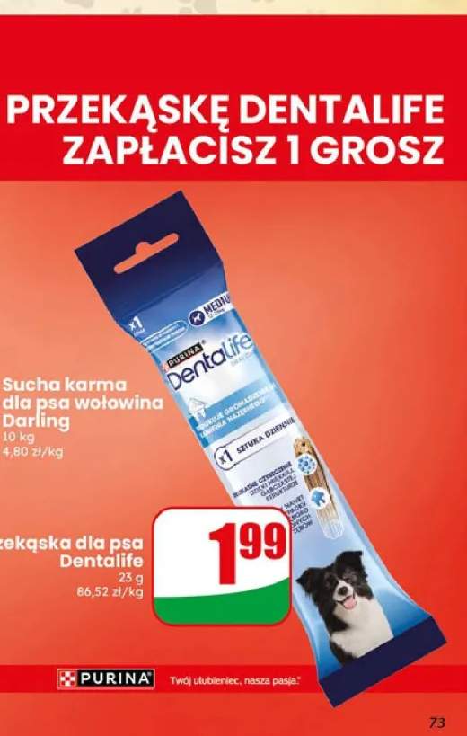 Przekąska dla psa Dentalife