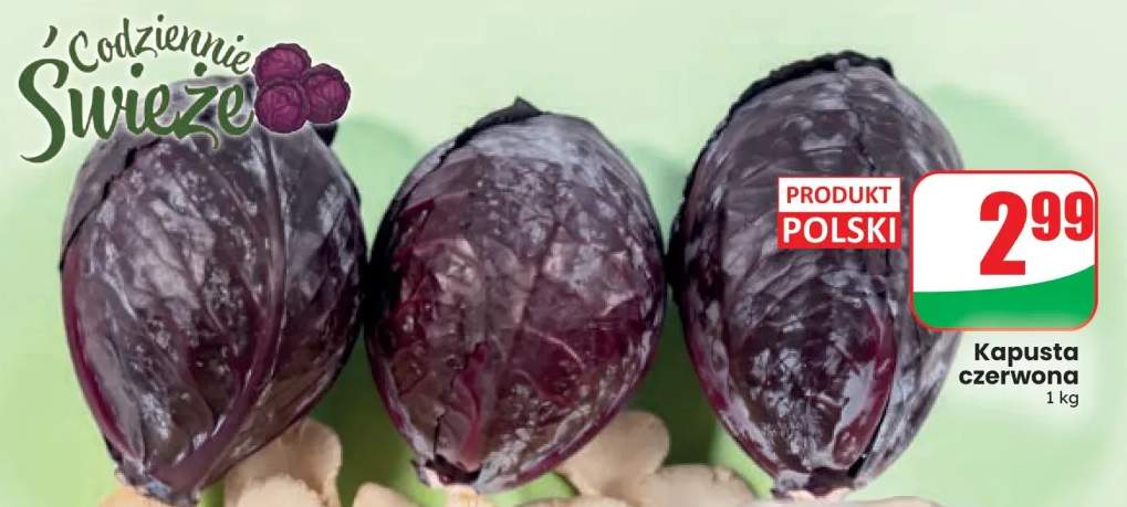 Kapusta czerwona