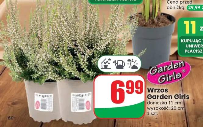 Wrzos Garden Girls