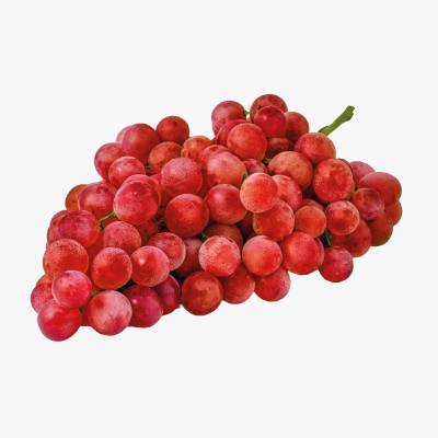 Winogrono ciemne kg