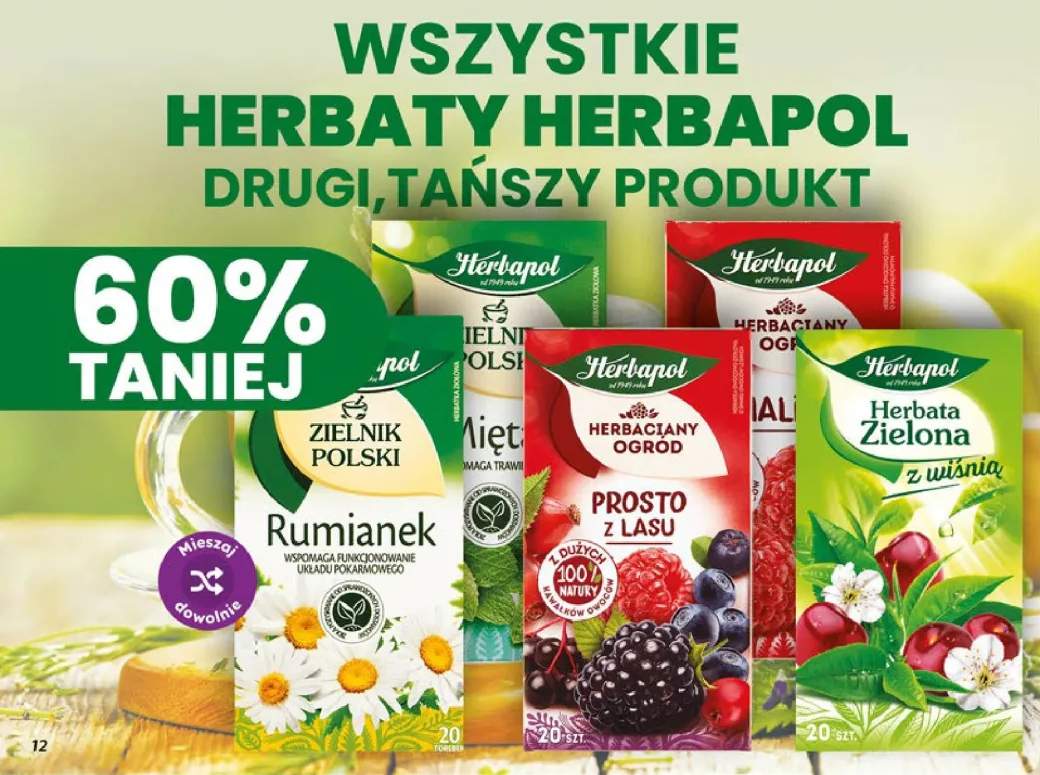 Herbata Zielnik Polski Rumianek Herbapol +5 wariantów