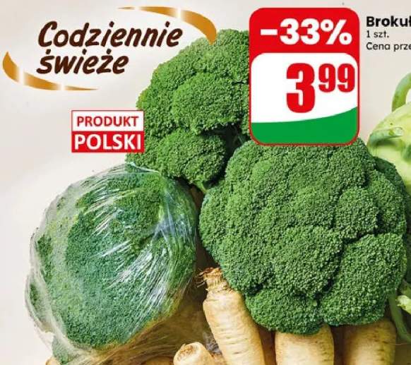 Brokuł