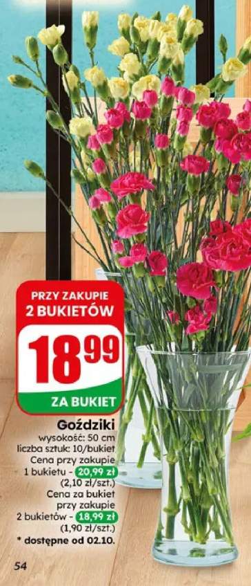 Goździki