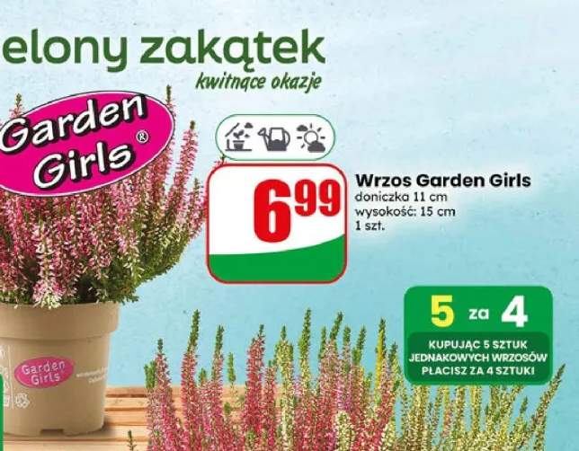 Wrzos Garden Girls