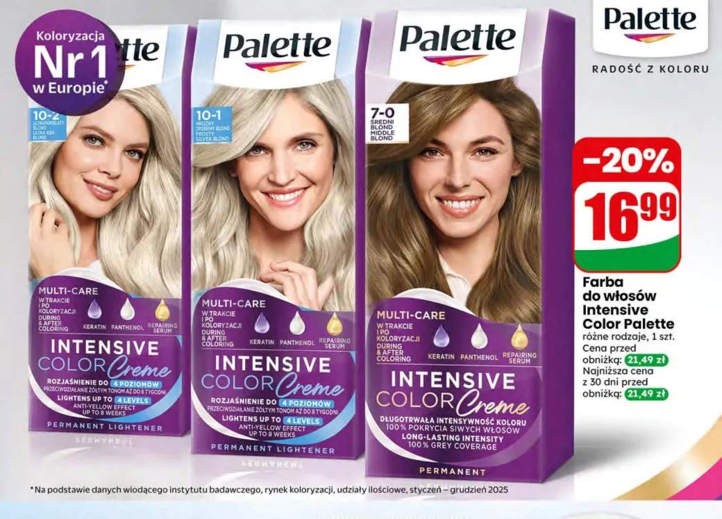 Farba do włosów Intensive Color Palette 10-1 mroźny srebrny blond +2 warianty