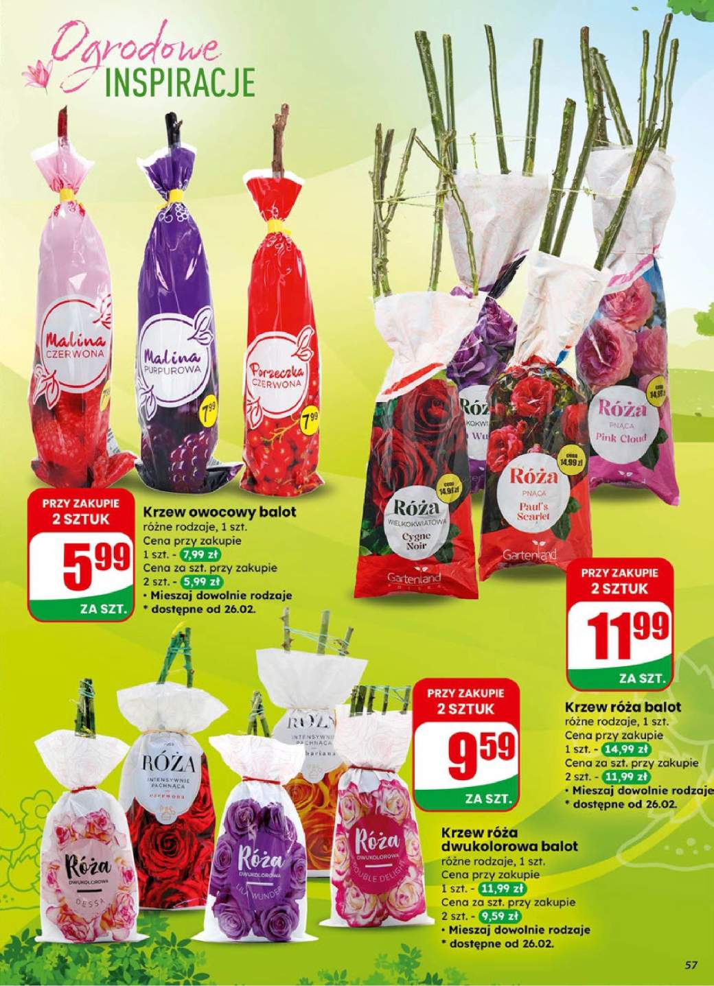 Gazetka – strona 57