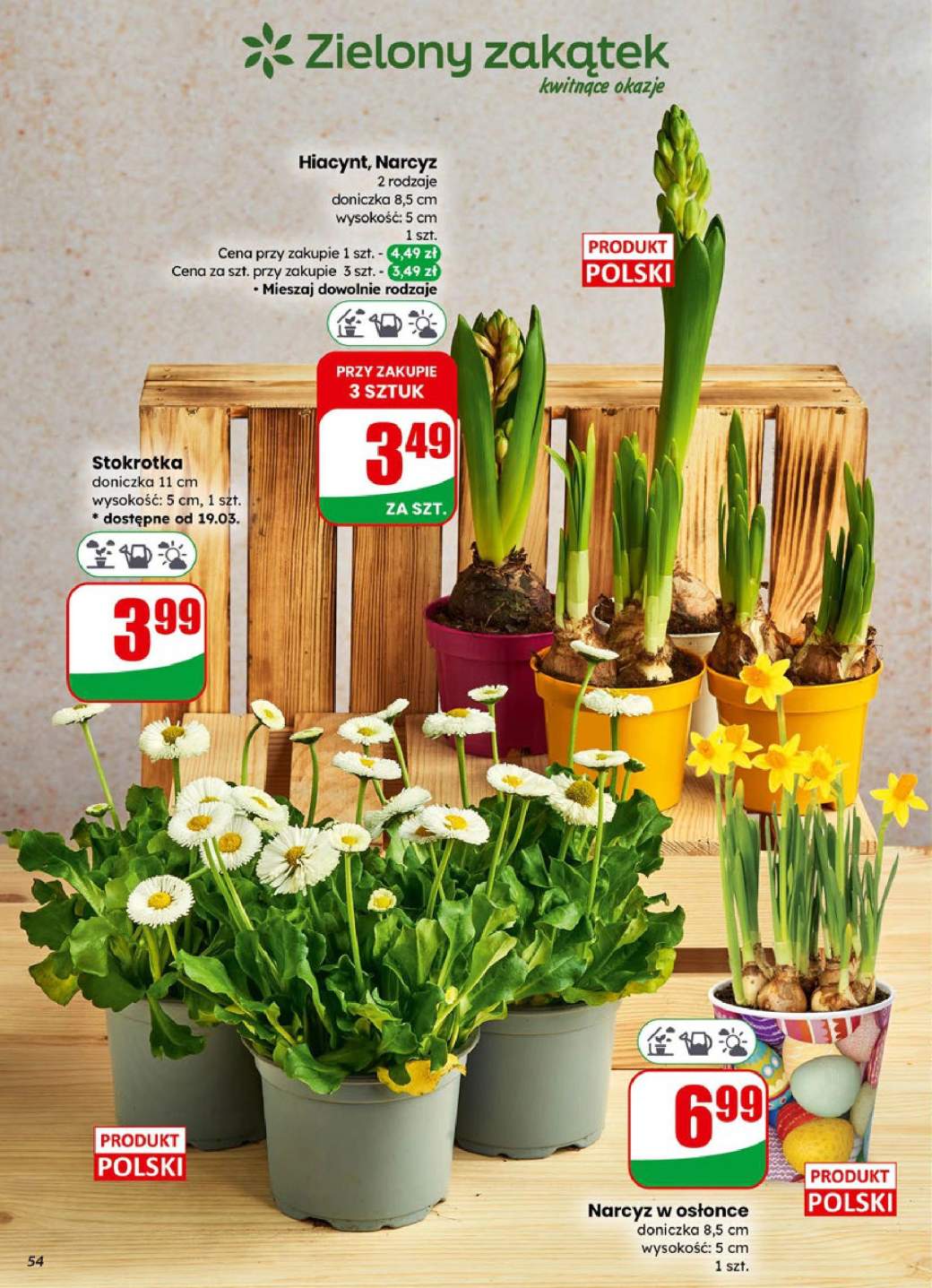 Gazetka – strona 54