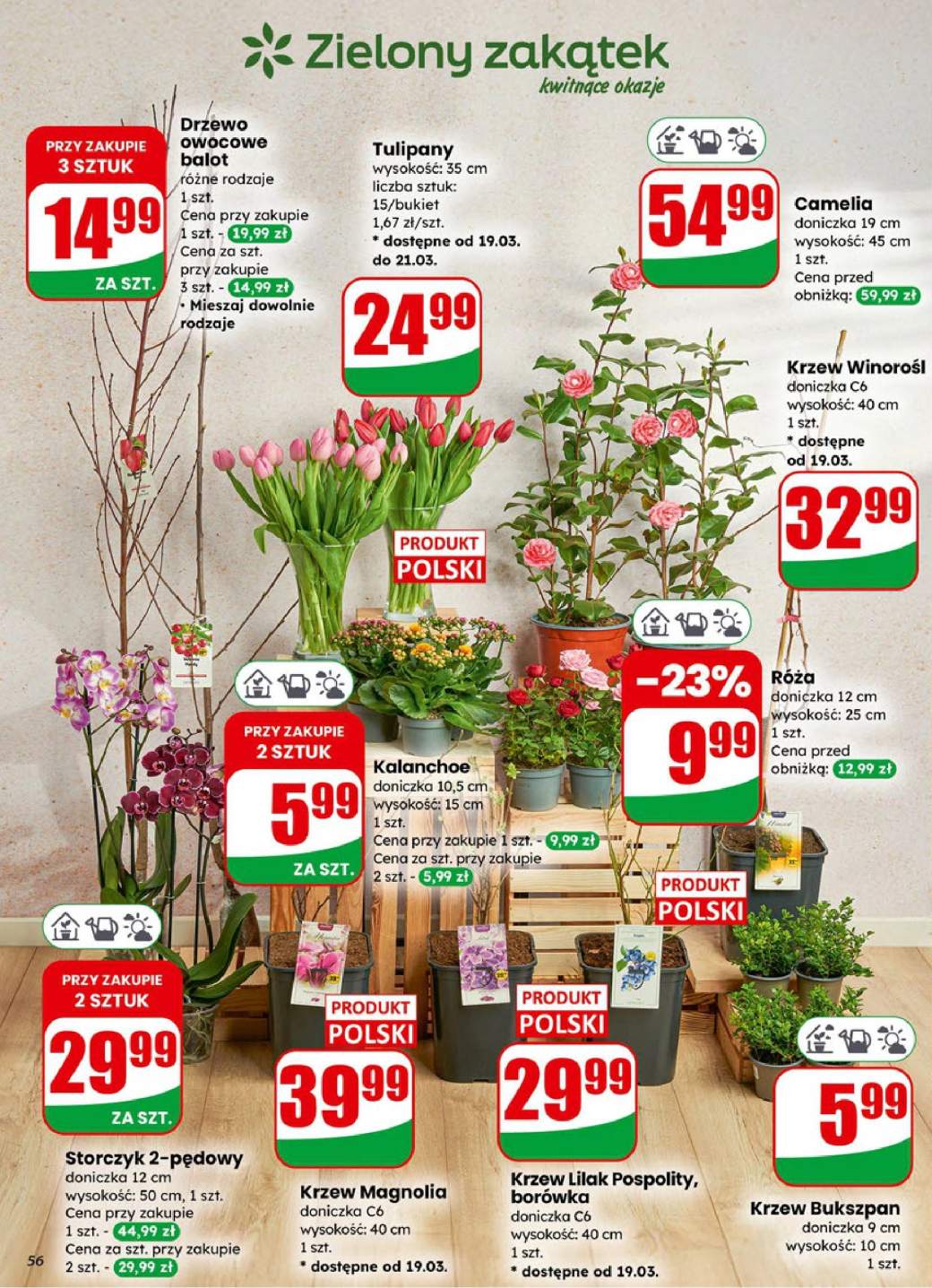 Gazetka – strona 56