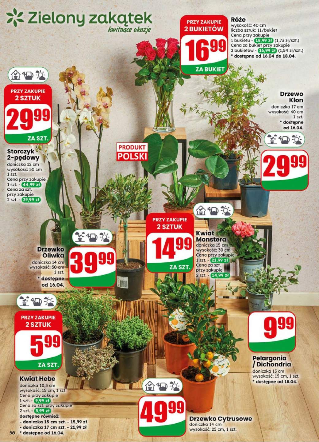 Gazetka – strona 56