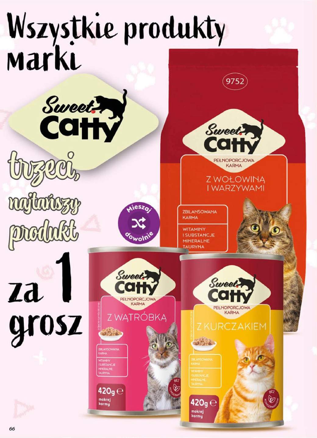 Gazetka – strona 66