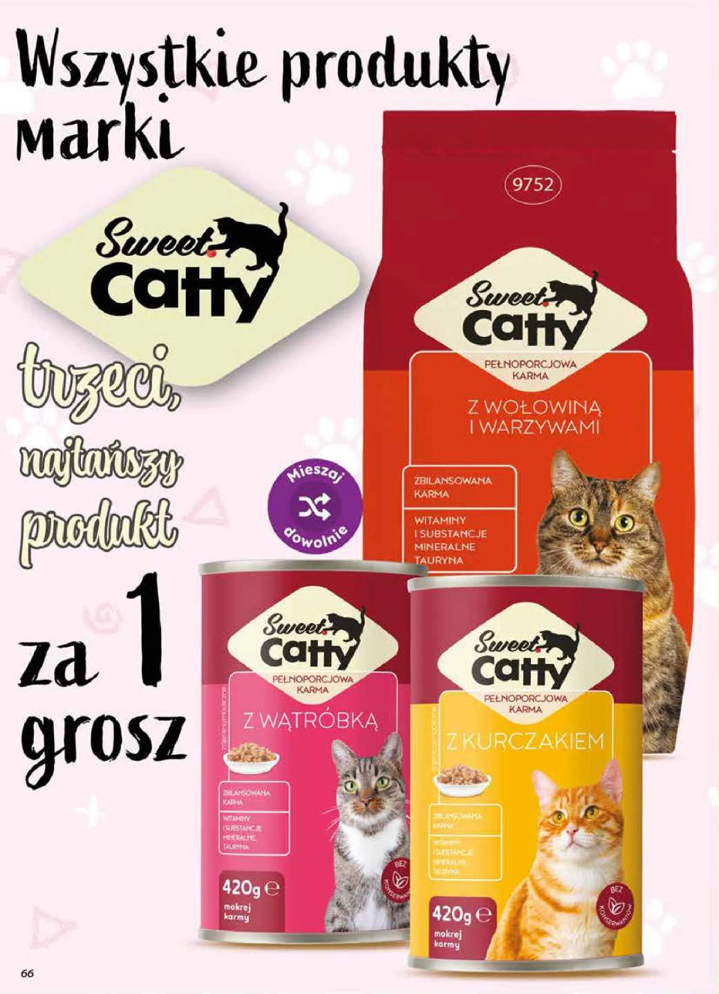 Gazetka – strona 66