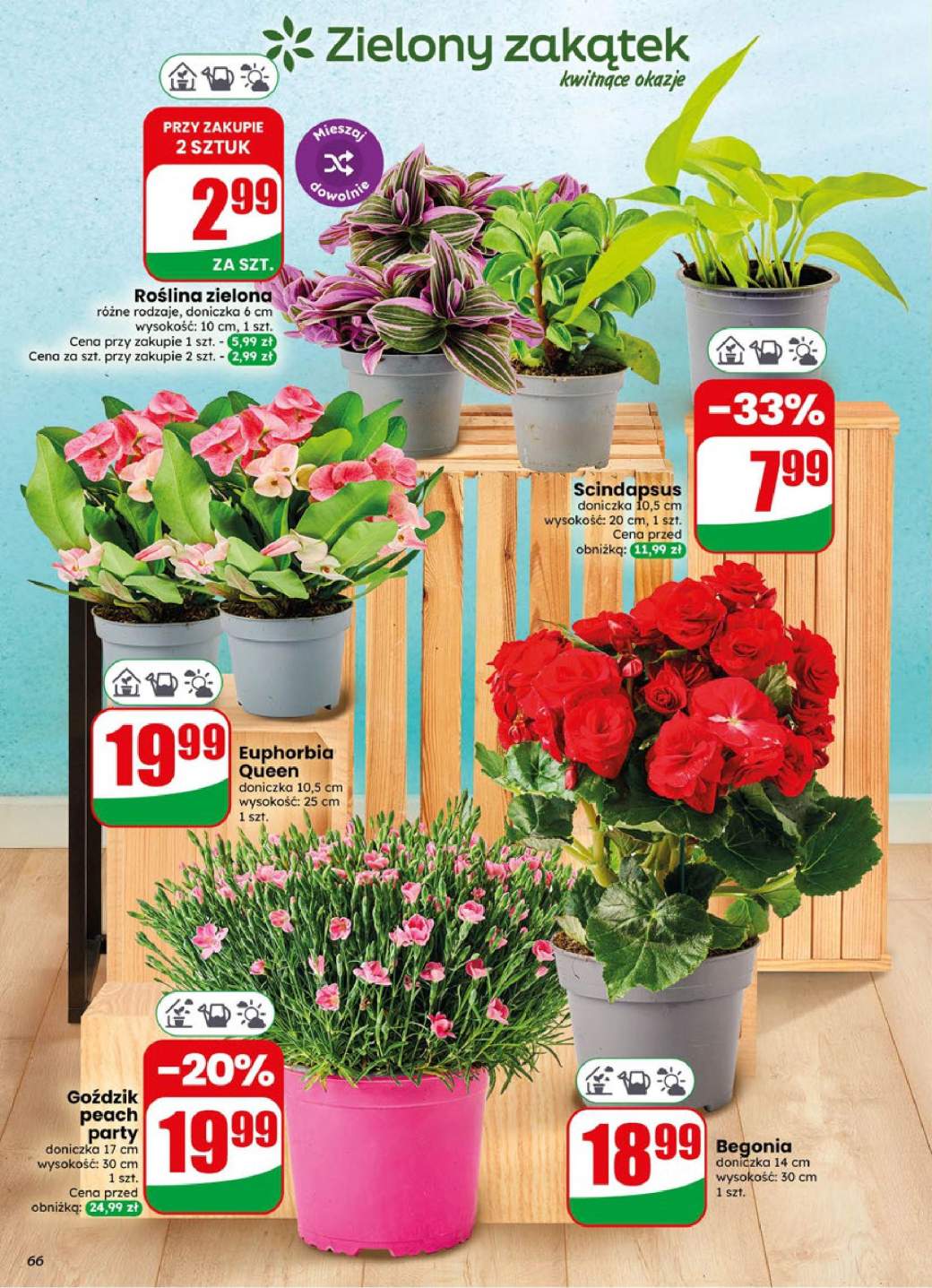 Gazetka – strona 66