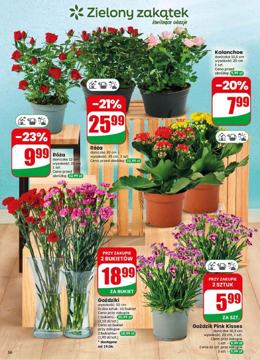Gazetka – strona 56