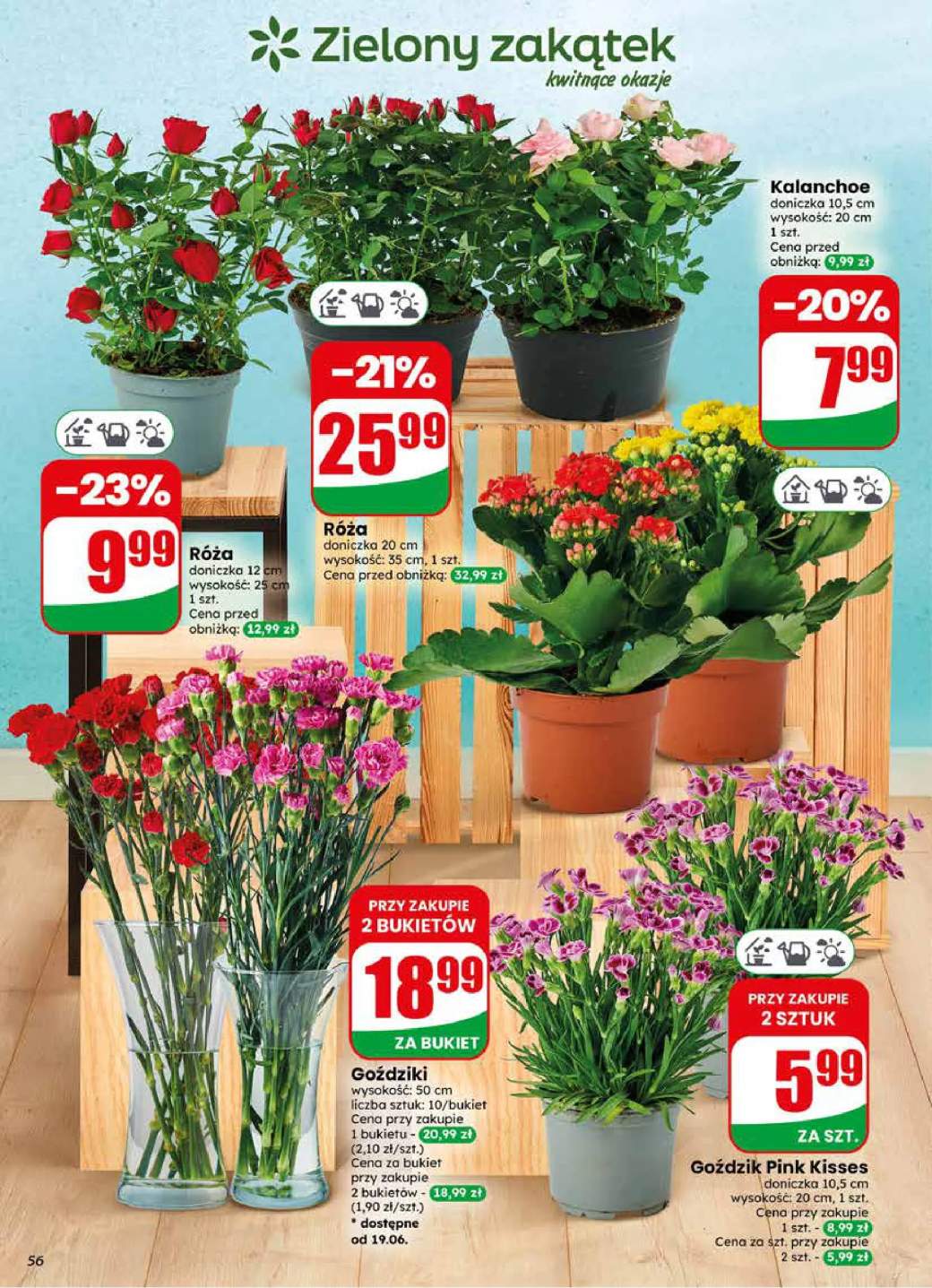 Gazetka – strona 56