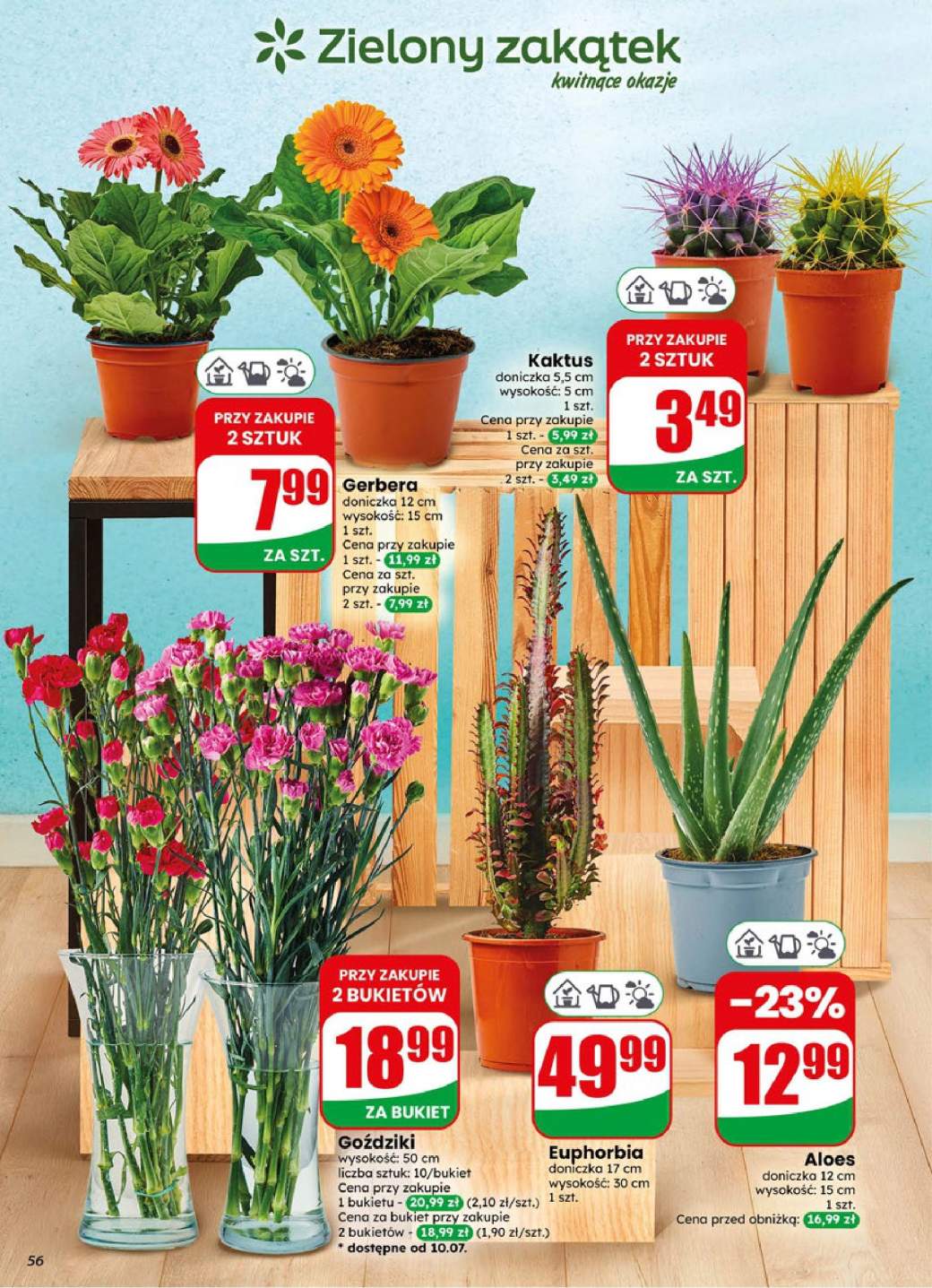 Gazetka – strona 56