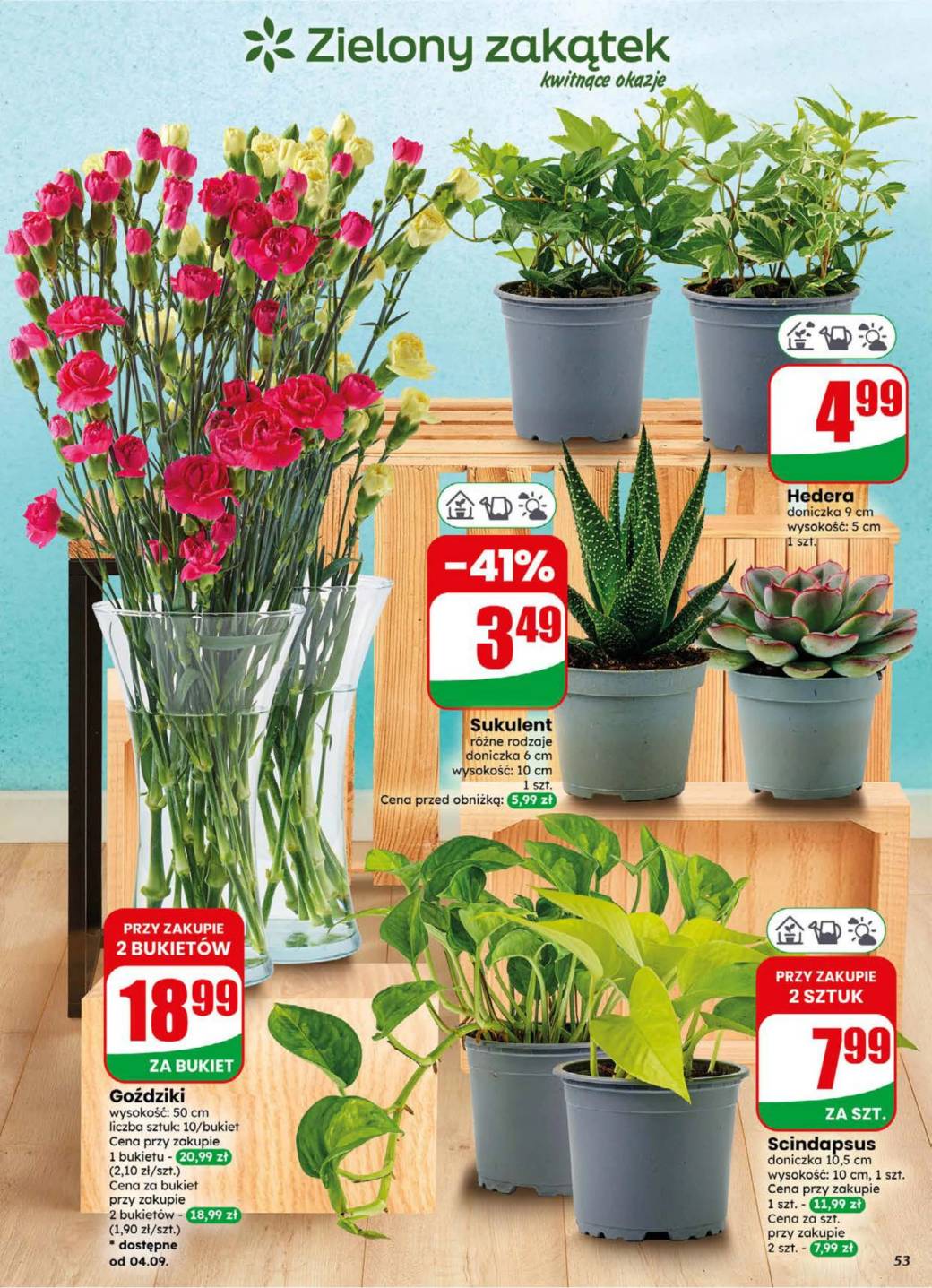 Gazetka – strona 53