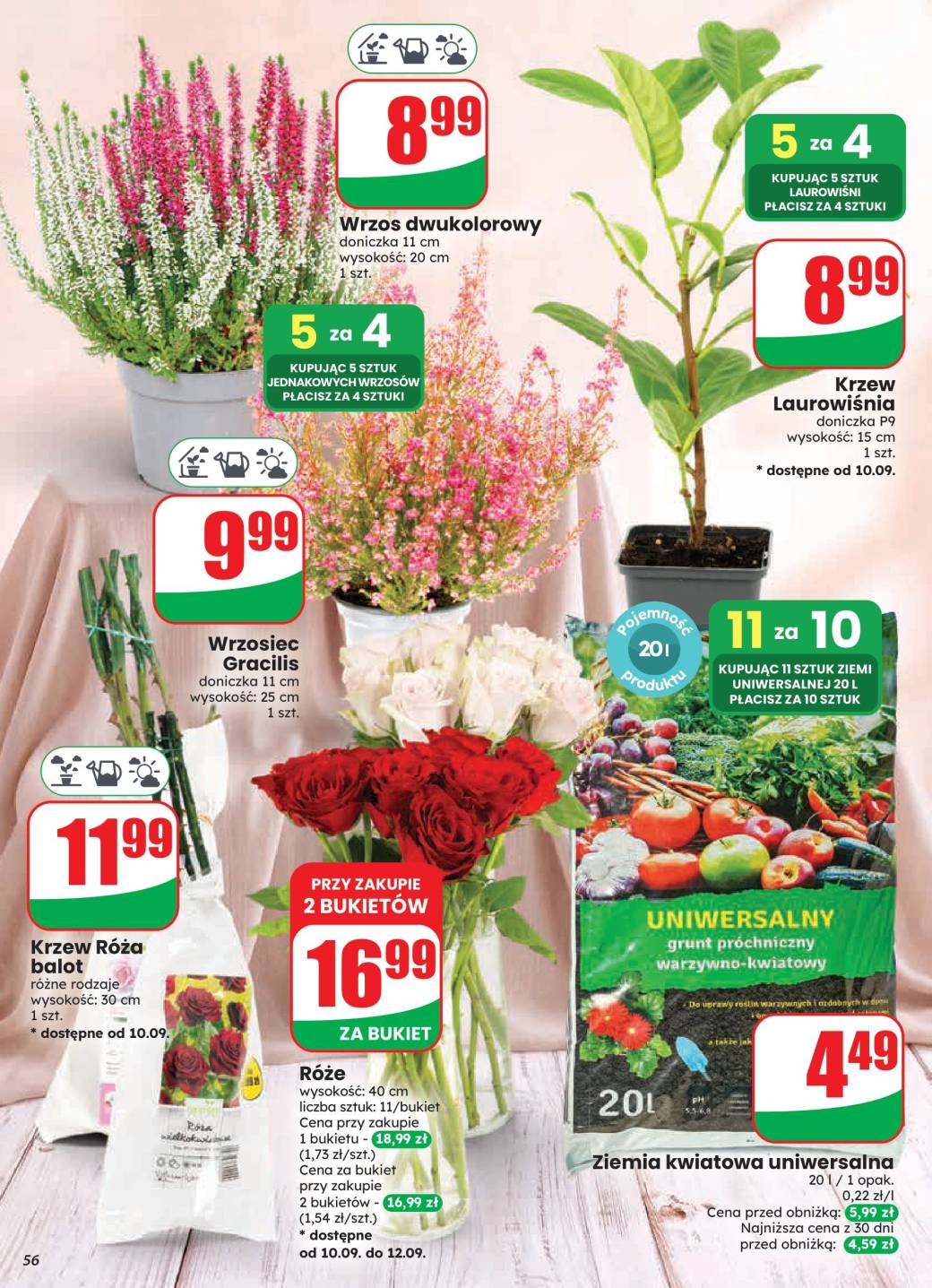 Gazetka – strona 56