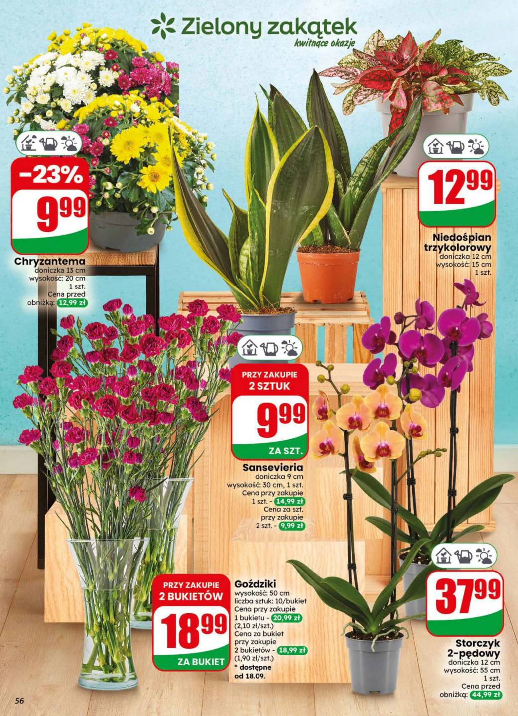 Gazetka – strona 56