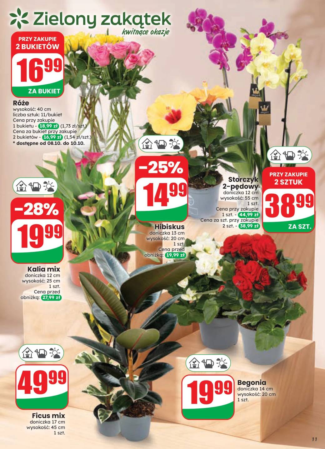 Gazetka – strona 11